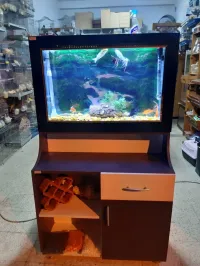 Aquarium avec meuble 
