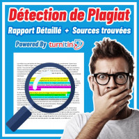 bureautique-internet-detection-de-plagiat-plagiarism-alger-centre-algerie