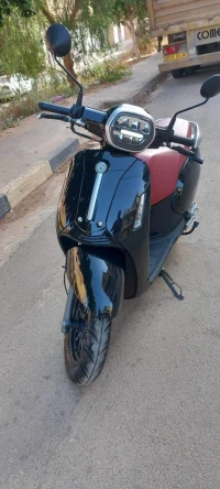Vms Benelli 2023