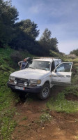 tout-terrain-suv-toyota-land-cruiser-1991-bordj-menaiel-boumerdes-algerie