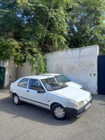 voitures-renault-19-1992-bab-el-oued-alger-algerie