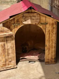 Niche en bois 