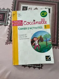 Coccinelle CP 1
