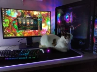 Setup gaming 