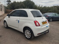 voitures-fiat-500-2023-cult-kouba-alger-algerie