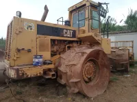 Cat Cat 1992