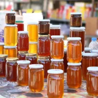 عسل حر راقي الجودة بالجملة 
