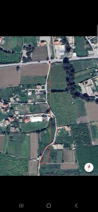 terrain-agricole-cherche-achat-tizi-ouzou-sidi-naamane-algerie