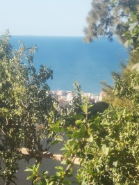 أرض-بيع-تيبازة-بوسماعيل-الجزائر