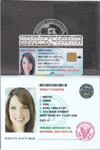 Permis international USA ( 10 ANS )