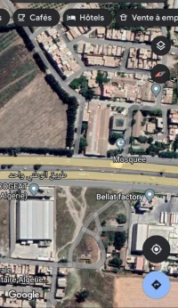 Location Local Alger Tessala el merdja