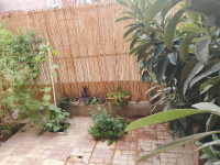 appartement-vente-f4-setif-el-ouricia-algerie