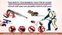 nettoyage-jardinage-pest-control-service-oum-el-bouaghi-blida-tlemcen-setif-skikda-algerie