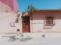 terrain-vente-ain-temouchent-hammam-bouhadjar-algerie