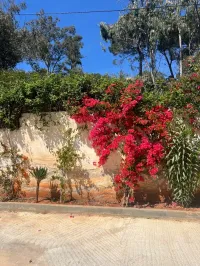 Vente Villa Alger Cheraga