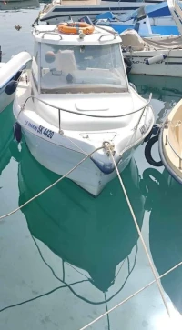 Timonier Quicksilver spectrum 460