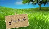 Vente Terrain Agricole Boumerdès Ouled moussa