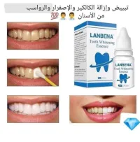 ادرار  الجزئر العاصمة 