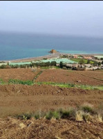 terrain-vente-chlef-beni-haoua-algerie