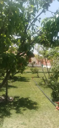 Vente Villa Mila Telerghma