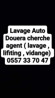 nettoyage-hygiene-agent-lavage-auto-douera-alger-algerie