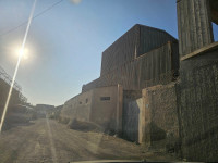 hangar-vente-alger-birtouta-algerie