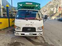 camion-hyundai-hd-75-2019-kherrata-bejaia-algerie