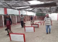 مركز تدريب الكلاب لنبيل بن عامر 