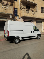 fourgon-fiat-ducato-l2h2-2024-ain-el-hammam-tizi-ouzou-algerie