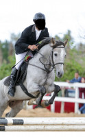 cheval-de-sport-ain-benian-alger-algerie