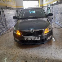 voitures-skoda-fabia-2014-visage-blida-algerie