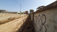 terrain-vente-boumerdes-hammedi-algerie