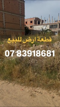 terrain-vente-boumerdes-hammedi-algerie