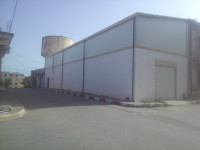 hangar-vente-oran-hassi-bounif-algerie