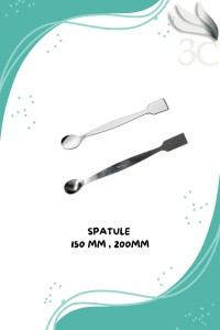 industrie-fabrication-spatule-en-inox-150mm-200mm-bordj-el-kiffan-alger-algerie