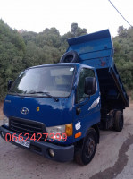 camion-hyundai-hd65-2008-tidjelabine-boumerdes-algerie