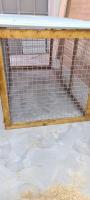 accessoire-pour-animaux-cage-de-chien-tizi-rached-ouzou-algerie