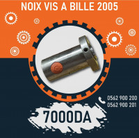 industrie-fabrication-noix-de-vis-a-bille-2005-boufarik-blida-algerie