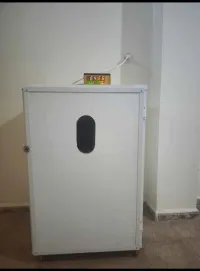 المدية 