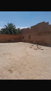 Vente Terrain Ghardaïa Zelfana