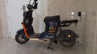 Scooter Scoozer dz 2025