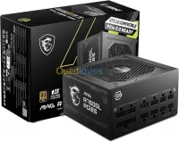 ALIMENTATION MSI MAG A750GL 750W -SUPPORTE GPU PCIE 5.0 -80 PLUS GOLD -MODULAIRE ATX 3.0 - FDB 120MM