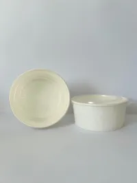 Bol en papier- Bol pour soupe.
