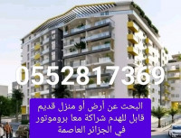 terrain-cherche-achat-alger-centre-algerie