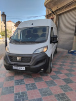 fourgon-fiat-ducato-l2h2-2024-ain-el-hammam-tizi-ouzou-algerie