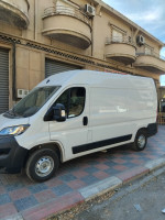 fourgon-fiat-ducato-l2h2-2024-ain-el-hammam-tizi-ouzou-algerie