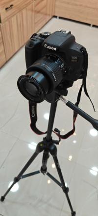 آخر-canon-eos-800d-avec-trepieds-original-تلمسان-الجزائر
