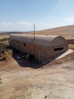 hangar-location-bouira-ain-el-hadjar-algerie