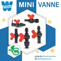 Mini Vannes