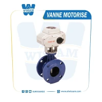 VANNE PAPILLON MOTORISE